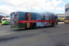 Bus387-WodenBs-1