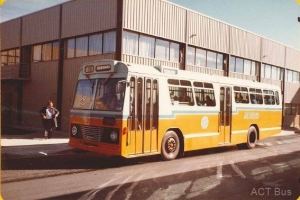 BUS 388-1