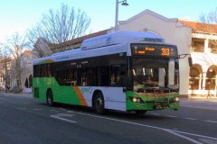 Bus389-AlingaSt-1