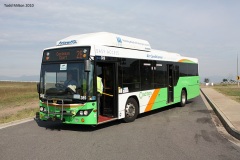 Bus-389-Chapman-Terminus