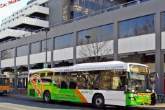 Bus390-AlingaSt-1