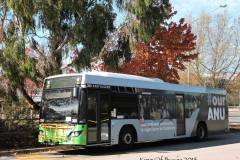 Bus390-WodenInter-2