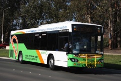 Bus-390-ANZAC-Parade