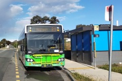 Bus 391 - Watson Terminus