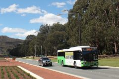 Bus-393-ANZAC-Parade