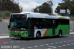 Bus-393-Cohen-Street