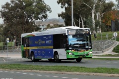 Bus-393-College-Street