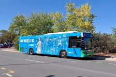 Bus393-HardwickCres