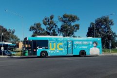 Bus393-LathlainSt