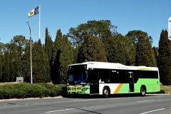 Bus393-VernonCcl-1