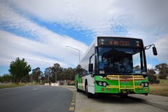 Bus393-Aikman-Drive