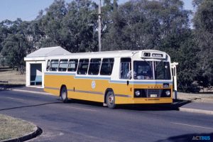 BUS 395-1