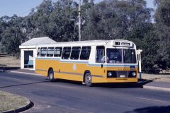 Bus395-1