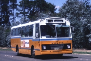 BUS 396-1
