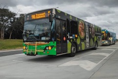 Bus 397 - Easty St Layover