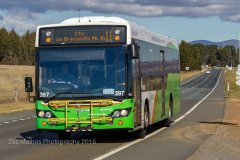 Bus397-Scherger-Dr