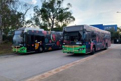 Bus397-556-CsBs-1