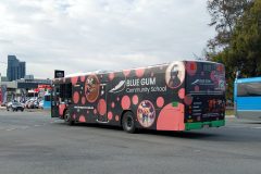 Bus 397 - Cohen St