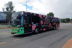 Bus397-IronKnobSt-1