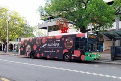 Bus397-MortSt-1