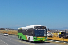 Bus-397-Flemington-Road