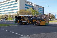 Bus403-CohenSt-1