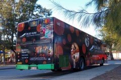 Bus404-Kippax-2