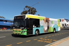 Bus-406-Cohen-Street-Bus-Station