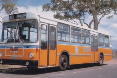 Bus-415-Higgins-Interchange