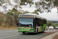 Bus-415-College-Street