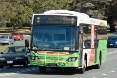 Bus-415-Commonwealth-Avenue