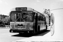 Bus-417