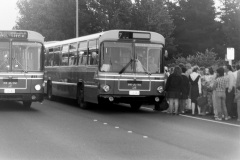 Buses-417-and-466