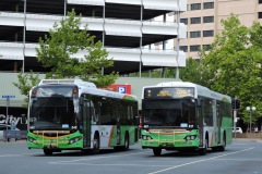 Bus 417 City West (with 542)