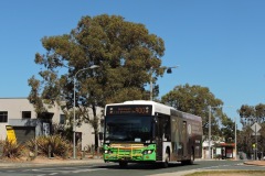 Bus-417-Comrie-Street