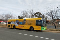 Bus 417 Hardwick Cres