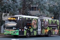 Bus418-CityWest-1