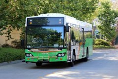 Bus418-Tuggeranong Interchange