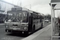 Bus-422-Bunda-Street