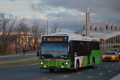 Bus-422-Commonwealth-Av