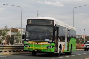 BUS 427