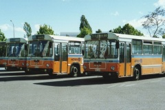 Bus-428-City-West