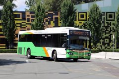 Bus429-NMA-1