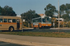 Bus-431