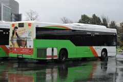 Bus-431-City-West-Layover