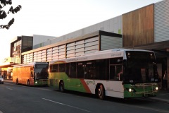 Bus-431-Gungahlin-Bus-Station-with-Bus-587-