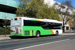 Bus431-Bradley-1