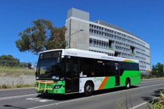 Bus-432-Cohen-Street