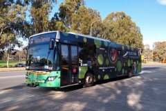 Bus432-HardwickCr-1