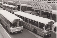 Buses-433-424-418-402-Belconnen-Interchange